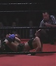 SHIMMER_06_0434.jpg