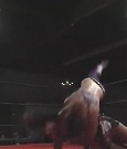 SHIMMER_06_0482.jpg
