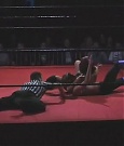 SHIMMER_06_0484.jpg