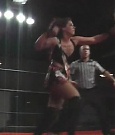 SHIMMER_06_0586.jpg