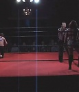 SHIMMER_06_0602.jpg