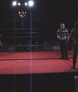 SHIMMER_06_0603.jpg
