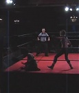 SHIMMER_06_0651.jpg