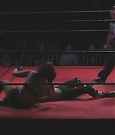 SHIMMER_06_0843.jpg