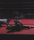SHIMMER_06_0845.jpg