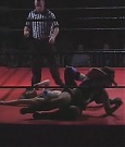 SHIMMER_06_0847.jpg