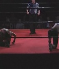 SHIMMER_06_0865.jpg