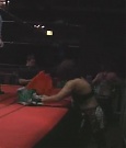 SHIMMER_06_0908.jpg