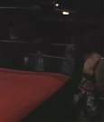 SHIMMER_06_0910.jpg