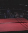 SHIMMER_06_0911.jpg