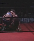 Filename=SHIMMER_06_0997.jpg
Filesize=29KiB
Dimensions=512x400
Date added=Dec 12, 2021 SHIMMER_06_0997.jpg