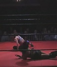 Filename=SHIMMER_06_1019.jpg
Filesize=30KiB
Dimensions=512x400
Date added=Dec 12, 2021 SHIMMER_06_1019.jpg