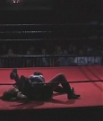 Filename=SHIMMER_06_1022.jpg
Filesize=29KiB
Dimensions=512x400
Date added=Dec 12, 2021 SHIMMER_06_1022.jpg