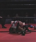 Filename=SHIMMER_06_1039.jpg
Filesize=32KiB
Dimensions=512x400
Date added=Dec 12, 2021 SHIMMER_06_1039.jpg