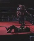 Filename=SHIMMER_06_1061.jpg
Filesize=31KiB
Dimensions=512x400
Date added=Dec 12, 2021 SHIMMER_06_1061.jpg