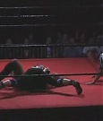 Filename=SHIMMER_06_1093.jpg
Filesize=31KiB
Dimensions=512x400
Date added=Dec 12, 2021 SHIMMER_06_1093.jpg