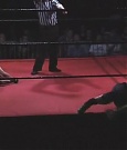 Filename=SHIMMER_06_1096.jpg
Filesize=30KiB
Dimensions=512x400
Date added=Dec 12, 2021 SHIMMER_06_1096.jpg