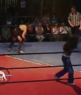 Filename=Rebecca_Knox_vs__Blue_Nikita_5BCWN_20065D_535.jpg
Filesize=57KiB
Dimensions=640x480
Date added=Dec 12, 2021 Rebecca_Knox_vs__Blue_Nikita_5BCWN_20065D_535.jpg