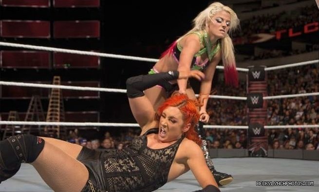 WWE_Ultimate_Superstar_Guide_001.jpg