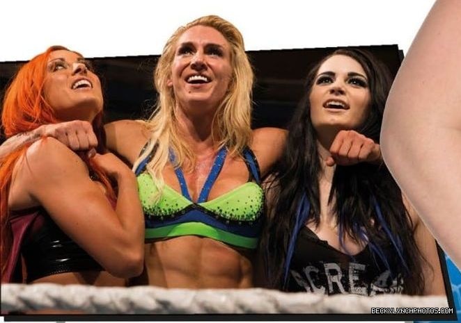WWE_Ultimate_Superstar_Guide_004.jpg