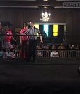 SHIMMER_37_mp4_005049477.jpg
