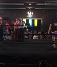 SHIMMER_37_mp4_005050945.jpg