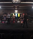 SHIMMER_37_mp4_005201496.jpg