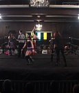 SHIMMER_37_mp4_005202230.jpg