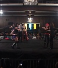 SHIMMER_37_mp4_005207202.jpg
