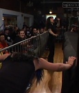 SHIMMER_37_mp4_005568896.jpg