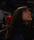 SHIMMER_37_mp4_005579807.jpg