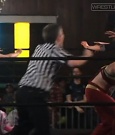 SHIMMER_37_mp4_006136430.jpg