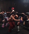 SHIMMER_37_mp4_006137764.jpg