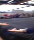SHIMMER_39_mp4_003079443.jpg