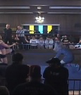 SHIMMER_39_mp4_003087317.jpg