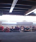 SHIMMER_39_mp4_003102065.jpg