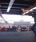 SHIMMER_39_mp4_003102699.jpg