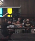 SHIMMER_39_mp4_003105869.jpg