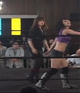SHIMMER_39_mp4_003110373.jpg