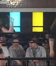 SHIMMER_39_mp4_003116379.jpg