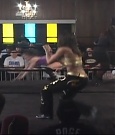 SHIMMER_39_mp4_003126089.jpg