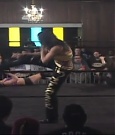 SHIMMER_39_mp4_003169900.jpg