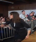 SHIMMER_39_mp4_003202132.jpg