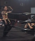 SHIMMER_39_mp4_003260223.jpg