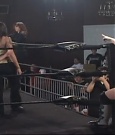 SHIMMER_39_mp4_003261925.jpg