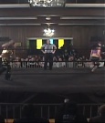 SHIMMER_39_mp4_003333963.jpg