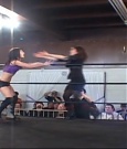 SHIMMER_39_mp4_003335365.jpg