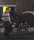 SHIMMER_39_mp4_003401097.jpg