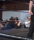 SHIMMER_39_mp4_003404067.jpg