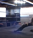 SHIMMER_39_mp4_003545408.jpg